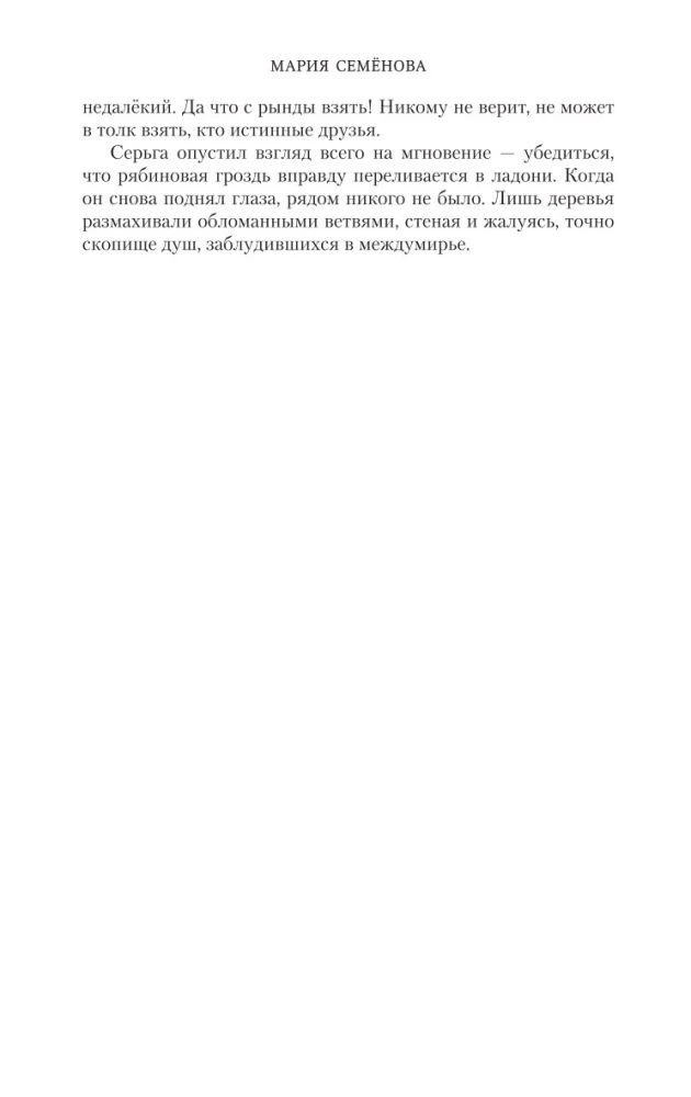 Братья. Книга 1. Тайный воин